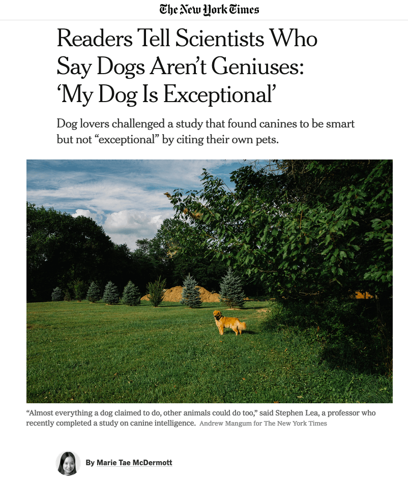 The New York Times, Readers Tell Scientists Who Says Dogs Aren’t Geniuses: 'My Dog is Exceptional'